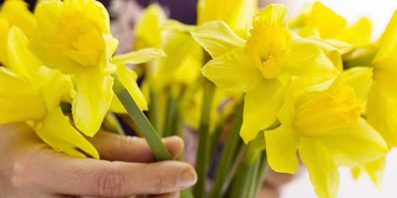 Spring Home Ownership